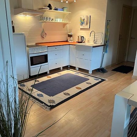 Skon Lejlighed Til 4 Personer Ansager Zewnętrze zdjęcie